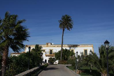 Son Manera Hotel Rural Montuïri Kültér fotó